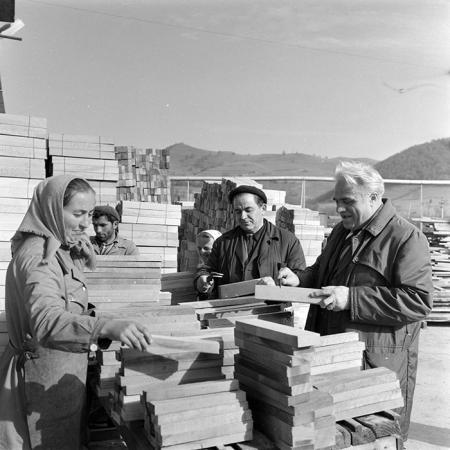 minerva_1983_c1_c5r2_024