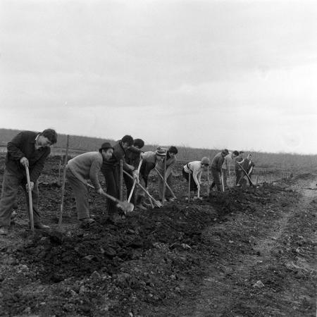 minerva_1983_c1_c5r4_009