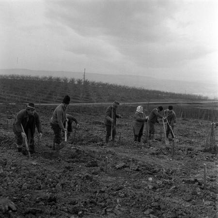 minerva_1983_c1_c5r4_020