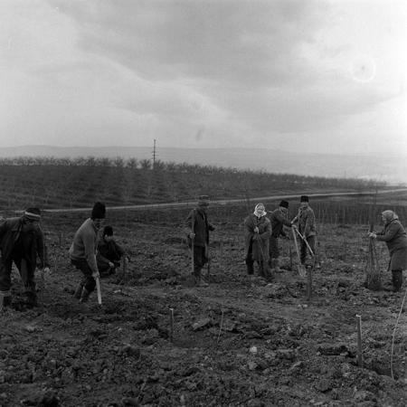 minerva_1983_c1_c5r4_021