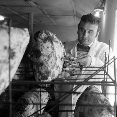 minerva_1983_c1_c7r3_015