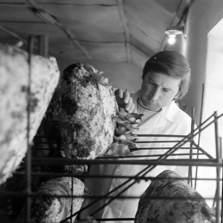 minerva_1983_c1_c7r3_018