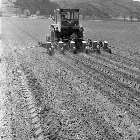 minerva_1983_c1_c7r3_027