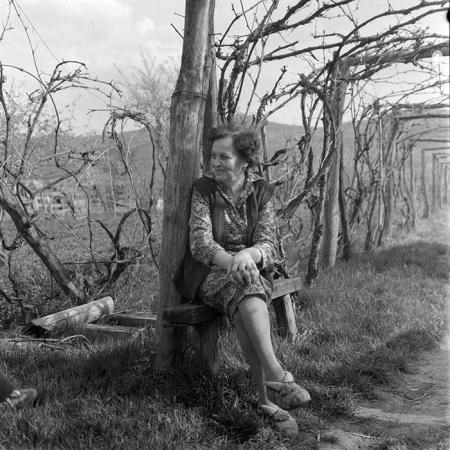 minerva_1983_c1_c8r5_003