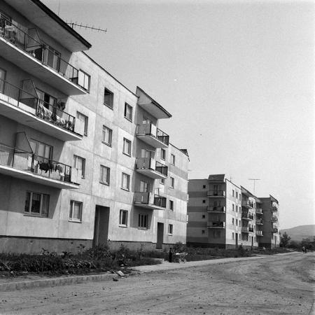 minerva_1983_c1_c9r3_010