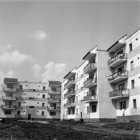 minerva_1983_c1_c9r3_012