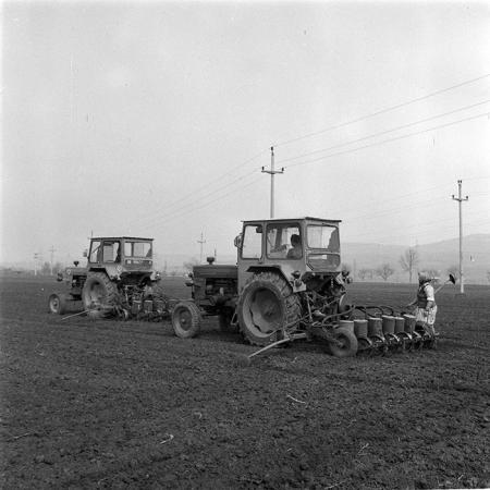 minerva_1984_c1_c3r5_003