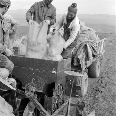 minerva_1984_c1_c3r5_006