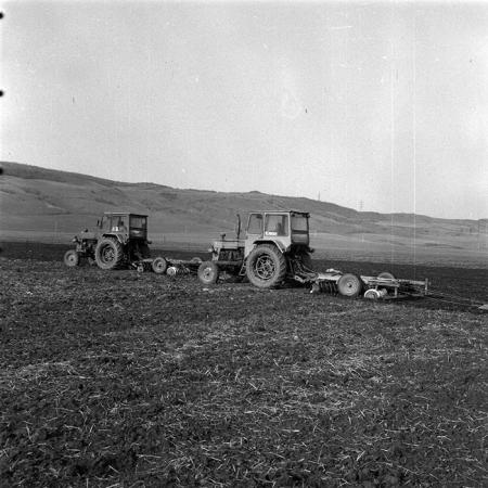 minerva_1984_c1_c4r2_013