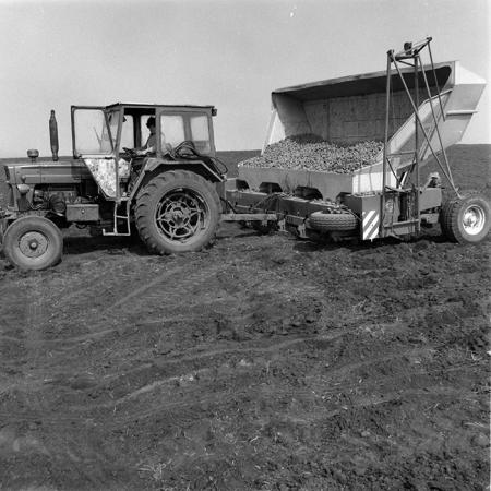 minerva_1984_c1_c4r2_033