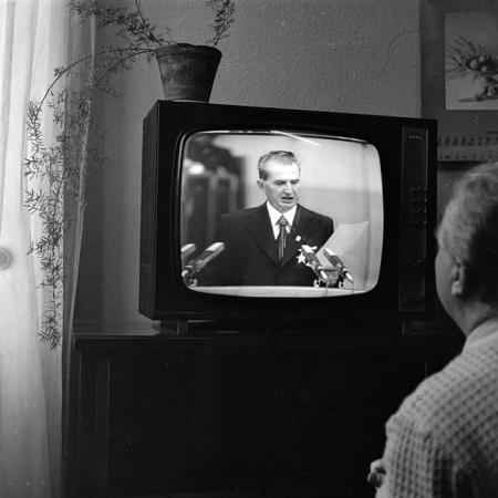 minerva_1984_c2_c10r3_002