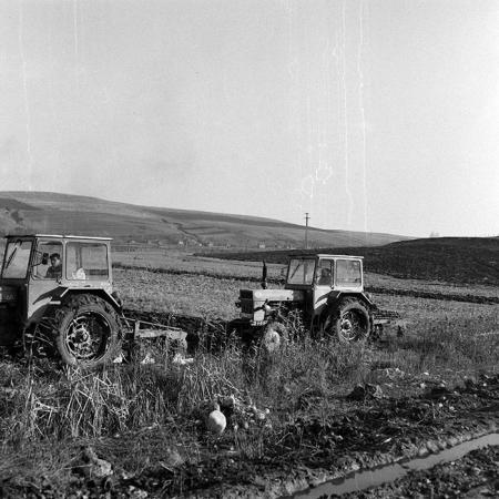 minerva_1984_c2_c10r4_006