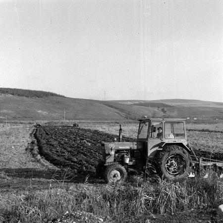 minerva_1984_c2_c10r4_009