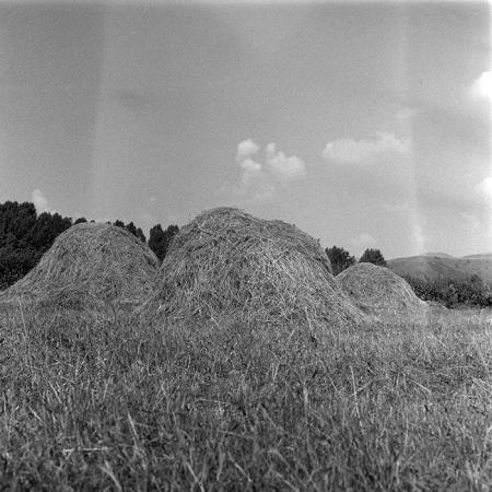 minerva_1984_c2_c3r5_007