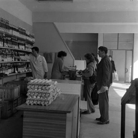 minerva_1984_c2_c7r2_050