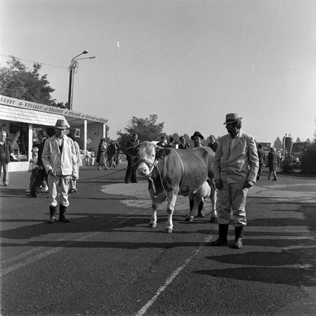 minerva_1984_c2_c7r4_034