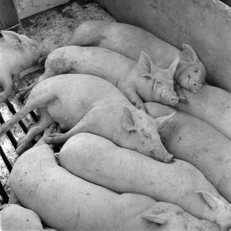 minerva_1984_c2_c7r4_047