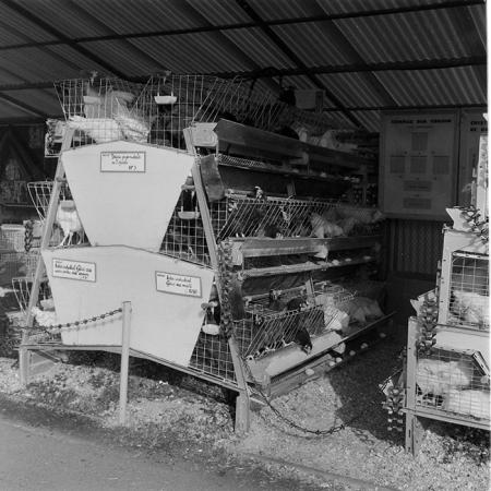 minerva_1984_c2_c7r5_020