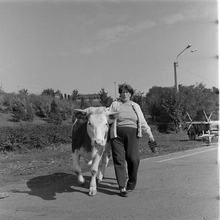 minerva_1984_c2_c7r5_053