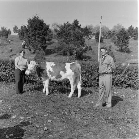 minerva_1984_c2_c7r5_061