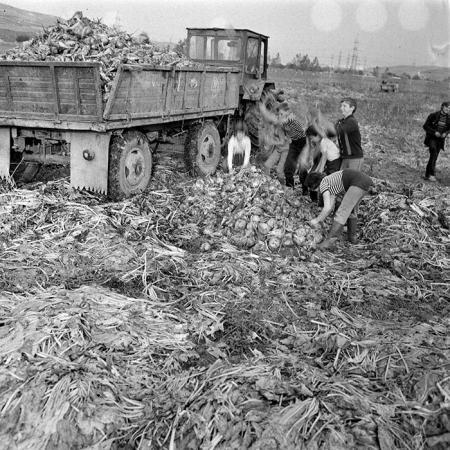 minerva_1984_c2_c8r1_005