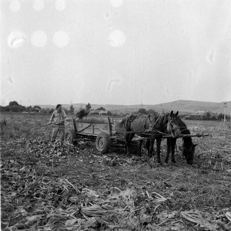 minerva_1984_c2_c8r1_008