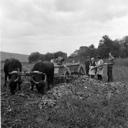 minerva_1984_c2_c8r1_017