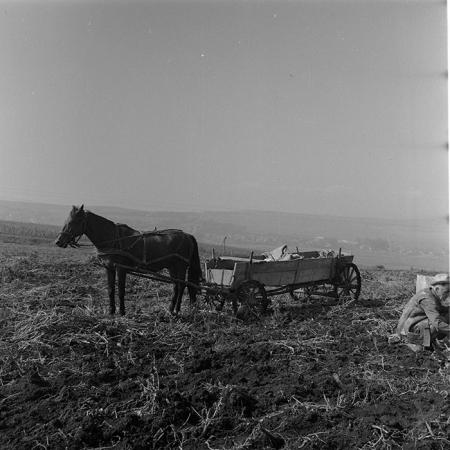 minerva_1984_c2_c8r4_005