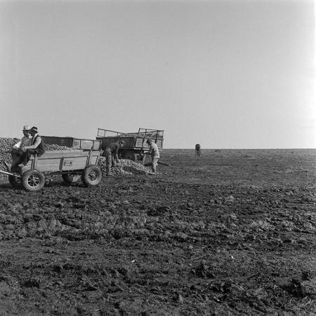 minerva_1984_c2_c8r4_010