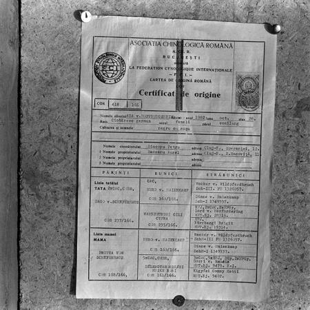 minerva_1985_c1_c10r5_019