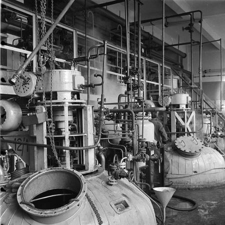 minerva_1985_c1_c7r5_024