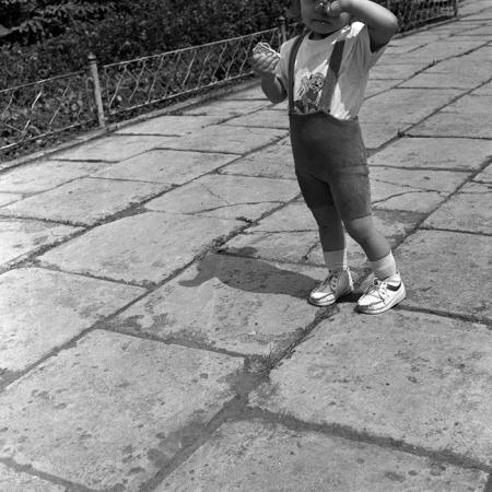 minerva_1985_c1_c9r3_032