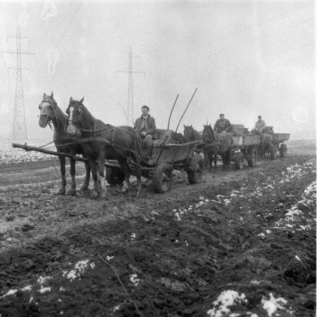 minerva_1985_c2_c1r4_003