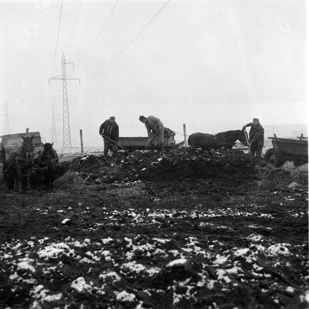 minerva_1985_c2_c1r4_007