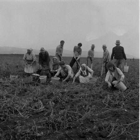 minerva_1985_c2_c1r4_026