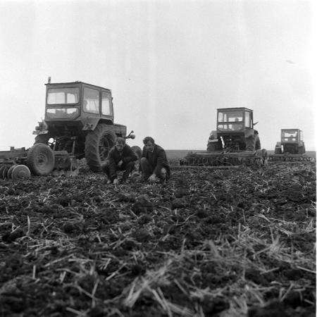 minerva_1985_c2_c1r4_032