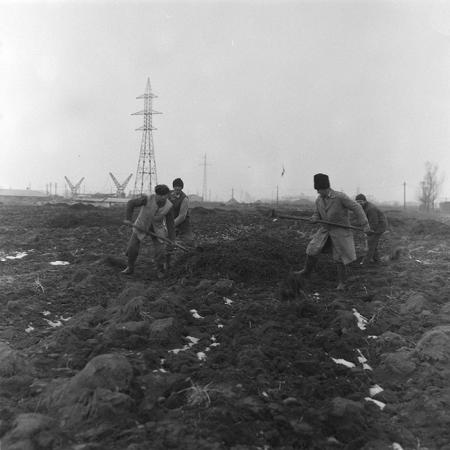 minerva_1985_c2_c1r4_070