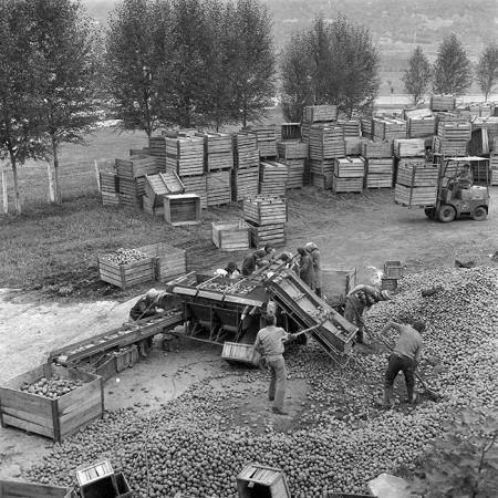 minerva_1985_c2_c2r1_005