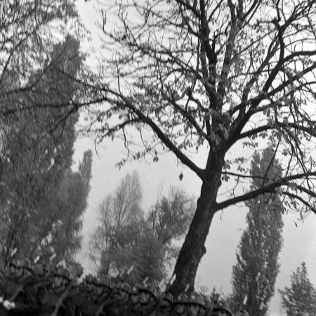 minerva_1985_c2_c2r1_020