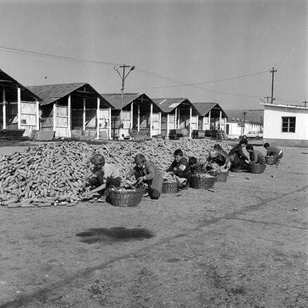 minerva_1985_c2_c2r2_027