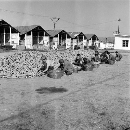 minerva_1985_c2_c2r2_028