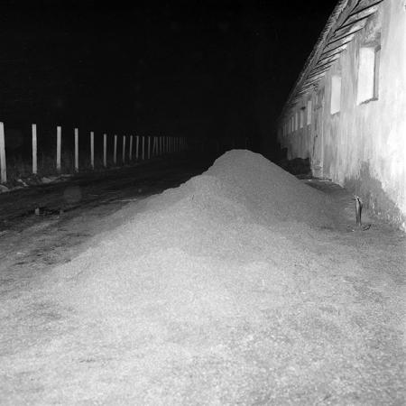 minerva_1985_c2_c2r3_004