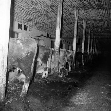 minerva_1985_c2_c2r3_006