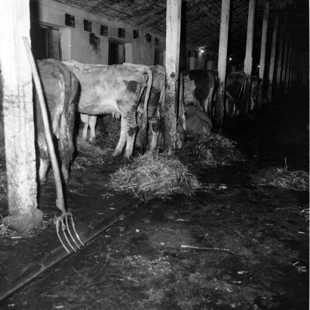 minerva_1985_c2_c2r3_009