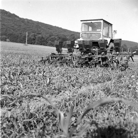 minerva_1985_c2_c2r3_041