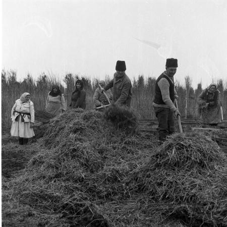 minerva_1985_c2_c2r4_008