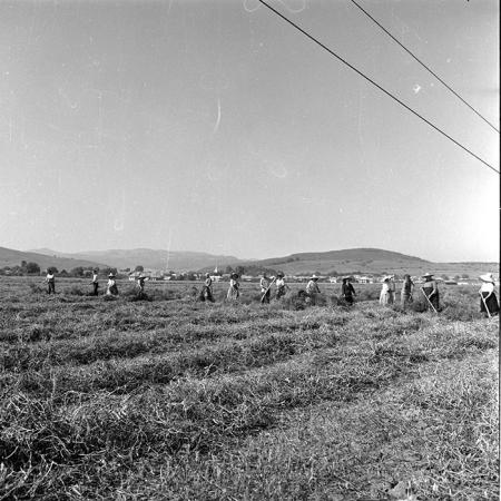 minerva_1985_c2_c2r4_029