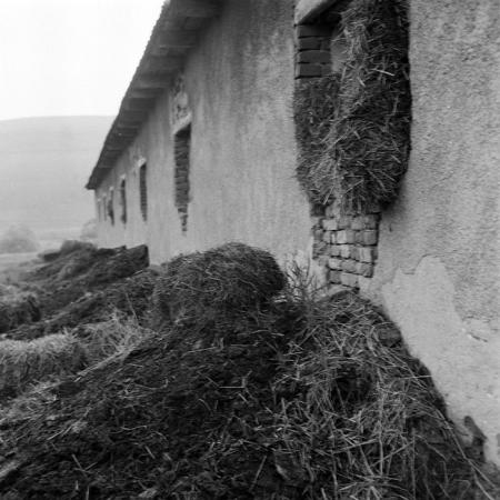 minerva_1985_c2_c3r1_002