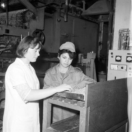 minerva_1985_c2_c3r1_027