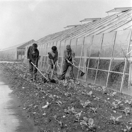 minerva_1985_c2_c3r1_029